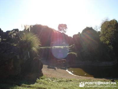 Parque de la Naturaleza de Cabárceno - Cantur - Cantabria; equipamiento para trekking; turismo de s